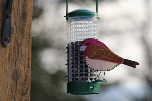 purple finch pattern