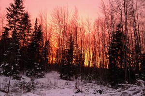 january winter sunset