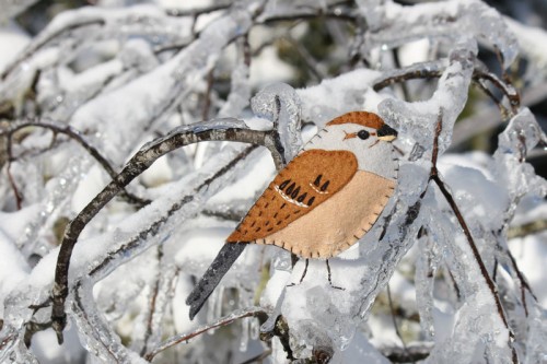 tree sparrow pattern