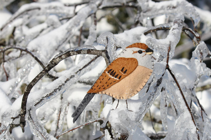 Sprightly Tree Sparrow