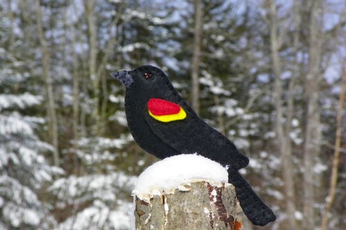 red-winged blackbird felt ornament