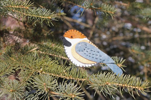 boreal-chickadee