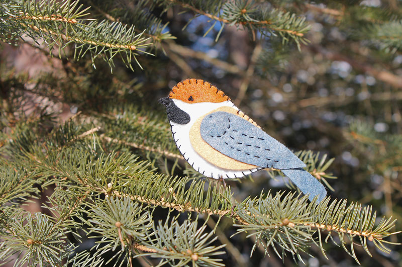 The Retiring Boreal Chickadee