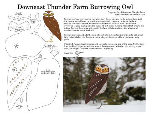 burrowing-owl