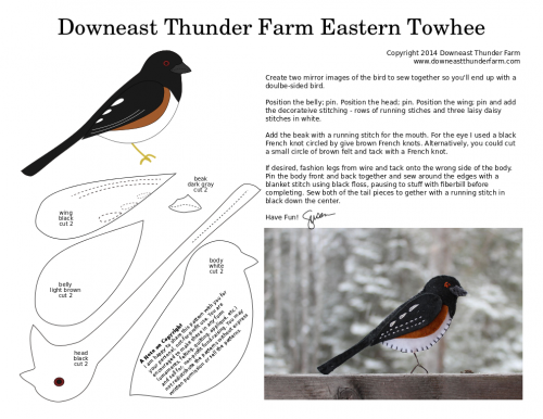 eastern towhee