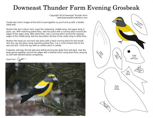 eveninggrosbeak