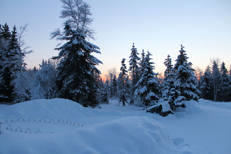 Snowy Sunrise Surprise