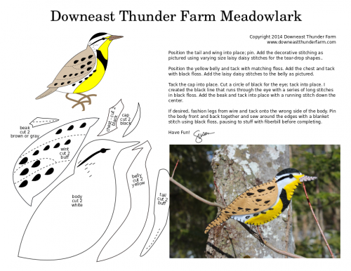 meadowlark