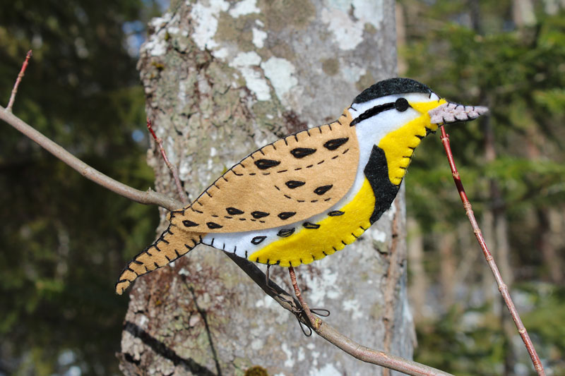 The Melodious Meadowlark