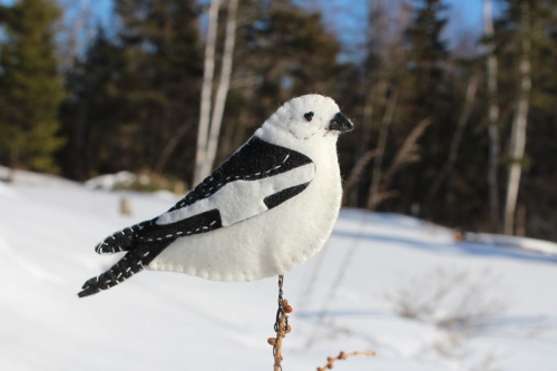 snow-bunting