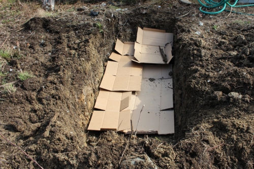 We lined the hole with cardboard