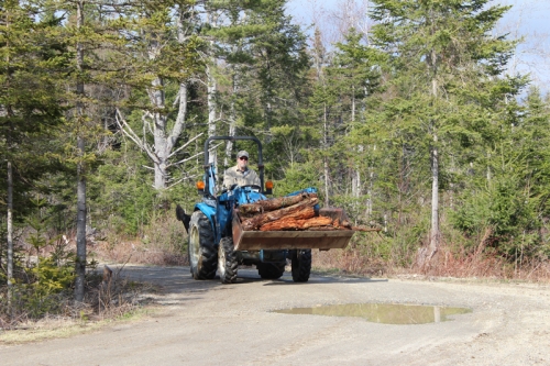 We gathered rotted logs from the woods