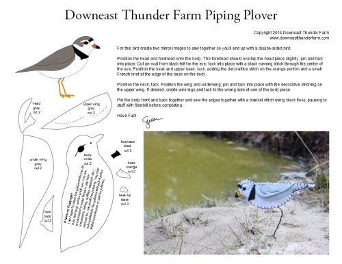 Piping Plover Pattern