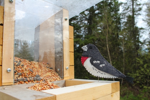 red-breasted-grosbeak