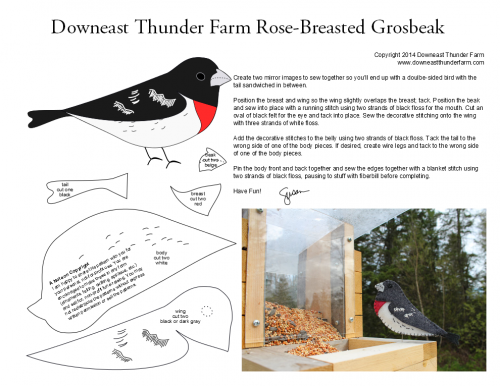 rose-breasted-grosbeak