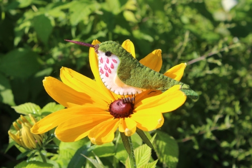 tiny calliope hummingbird