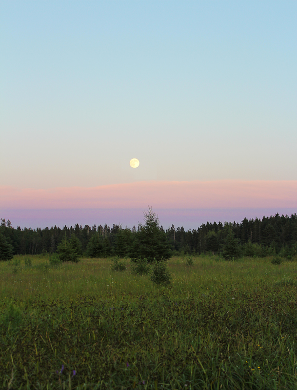 Rise Of A Super Moon