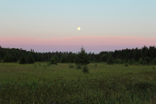 moon2