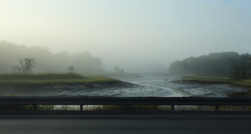 foggy Mill River