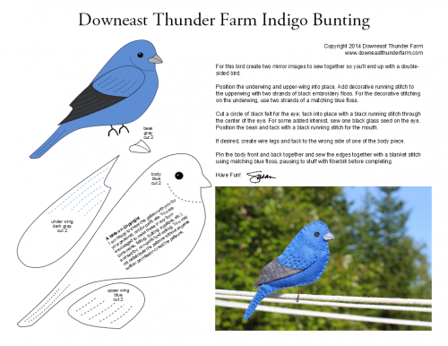 indigo bunting