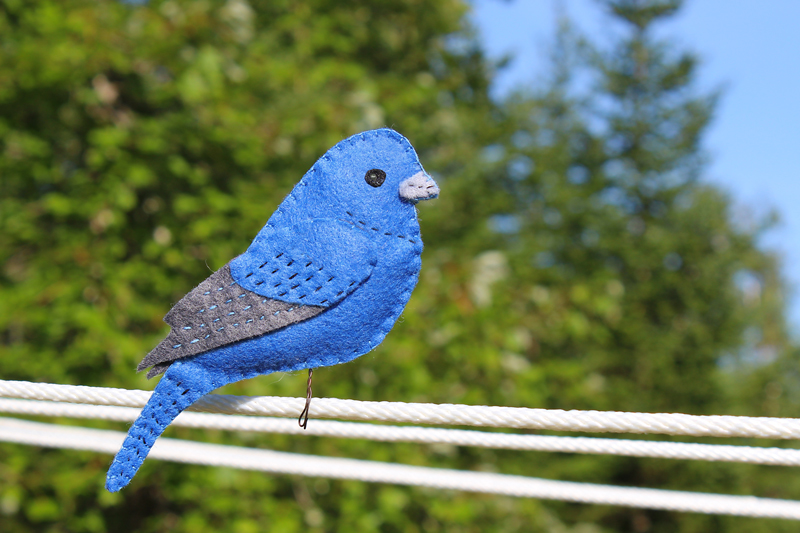 A Brilliant Indigo Bunting