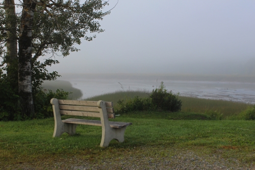 solitude on the pleasant river