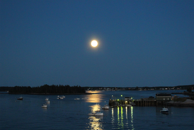 Chasing an August Moon