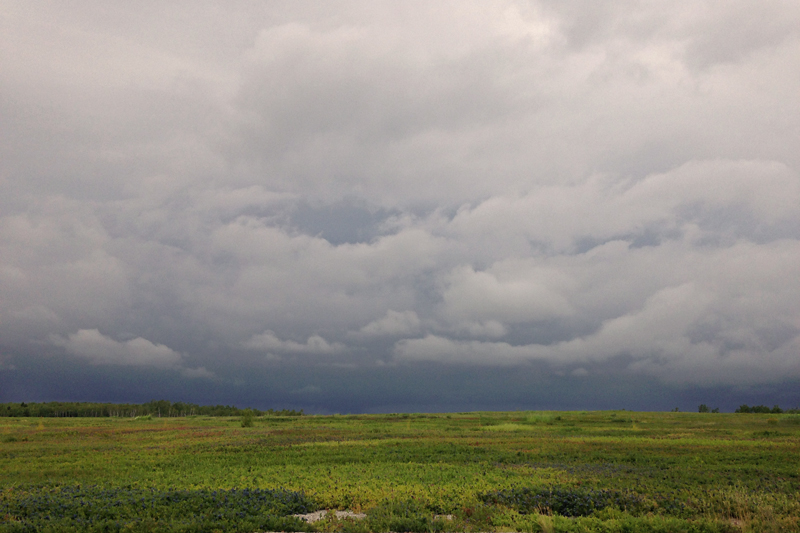 Thunder Clouds Over the Barrens