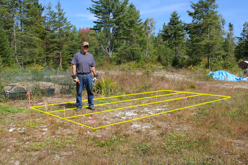 Mapping Out the Greenhouse