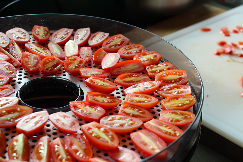 November Tomatoes