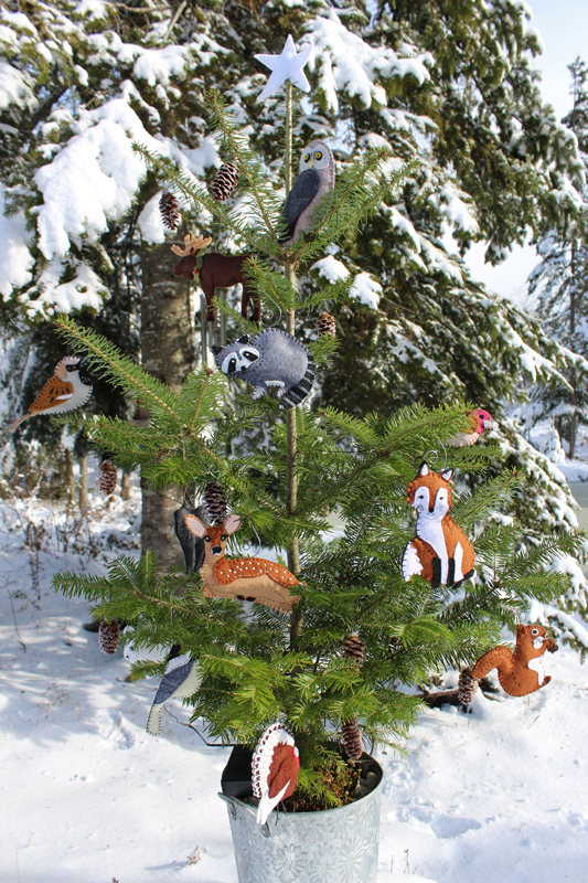 Maine Woods Christmas Tree Auction