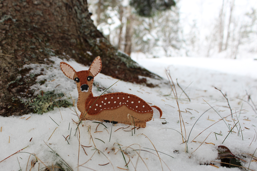 A Winter’s White Tail Fawn