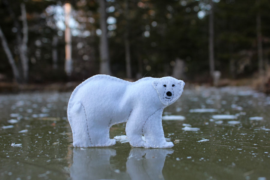 The Fearless Polar Bear