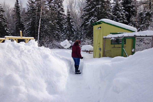 digging out the chicken coop after more snow