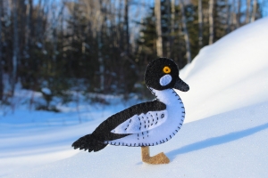 goldeneye duck pattern