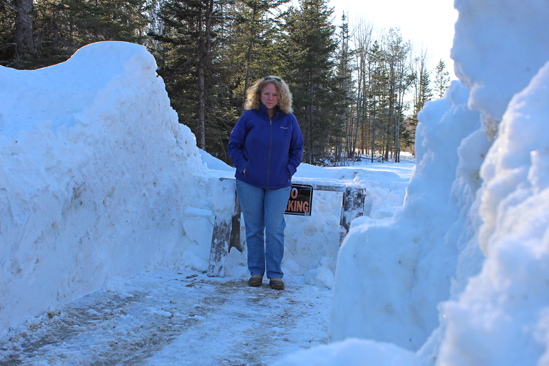 Digging Out the Woods Road