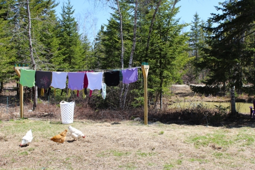 clothes on the line