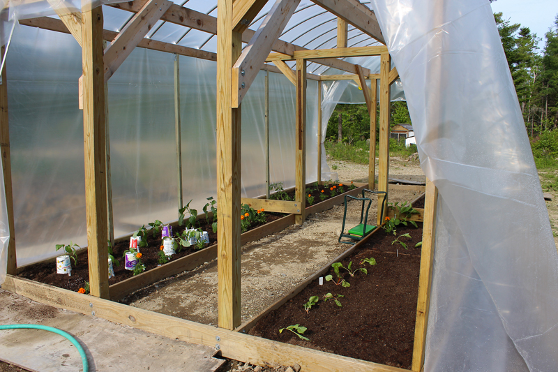 Planting in the Greenhouse