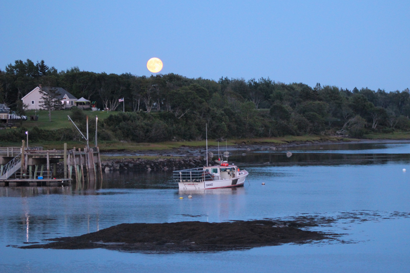 Blue Moon Rising Over the Narraguagus