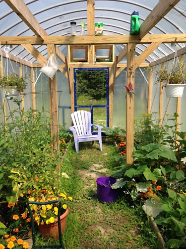 The greenhouse is looking lush. 