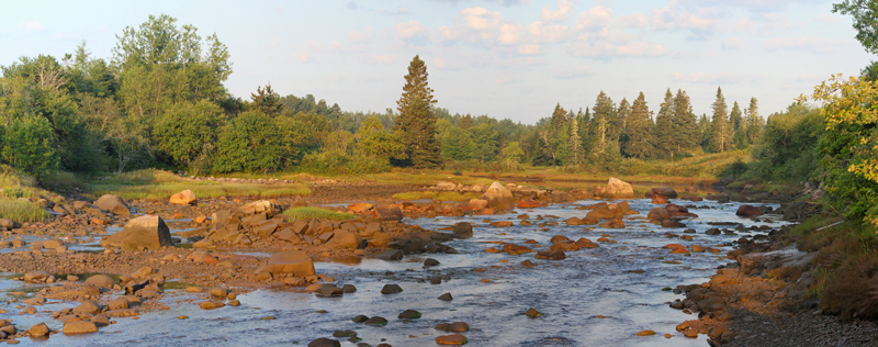 Morning Light on the River