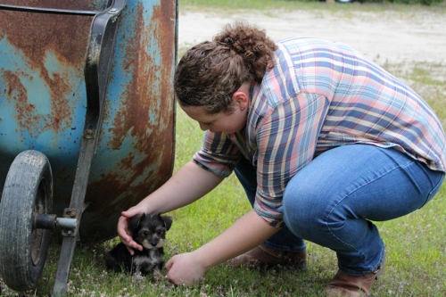 teenager with yorkie puppy in Maine