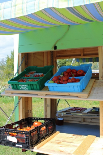 fresh produce on the IEM mobile veggie cart