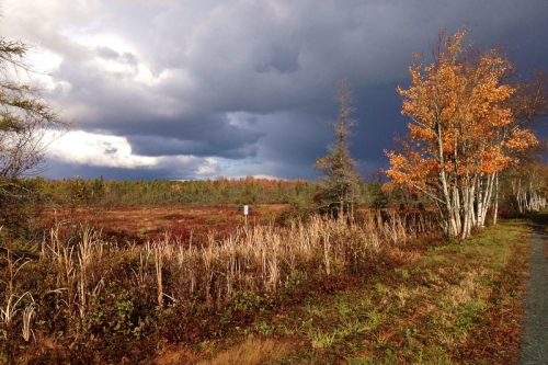 storm over the corea heath