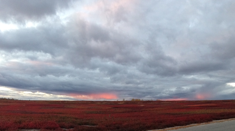 Sunset Over the Barrens