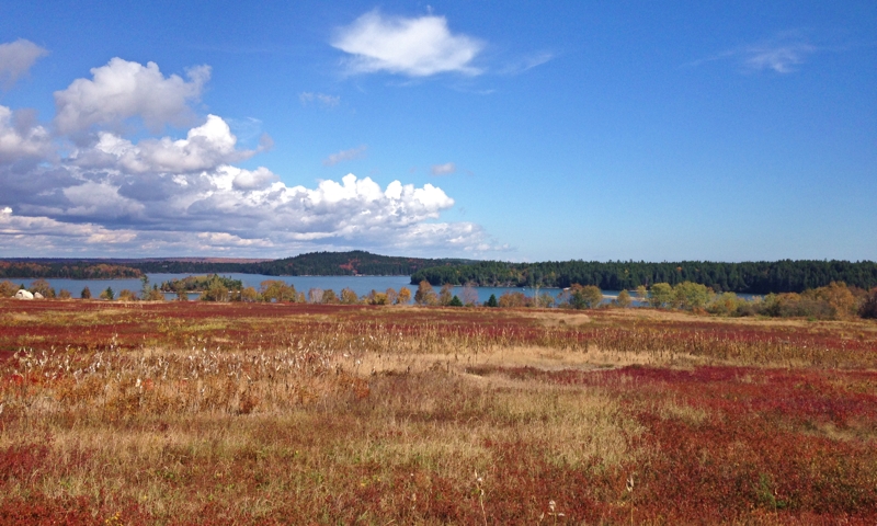 Autumn Barrens