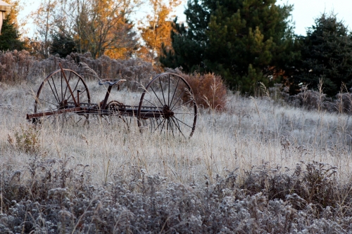 field on a frosty morning
