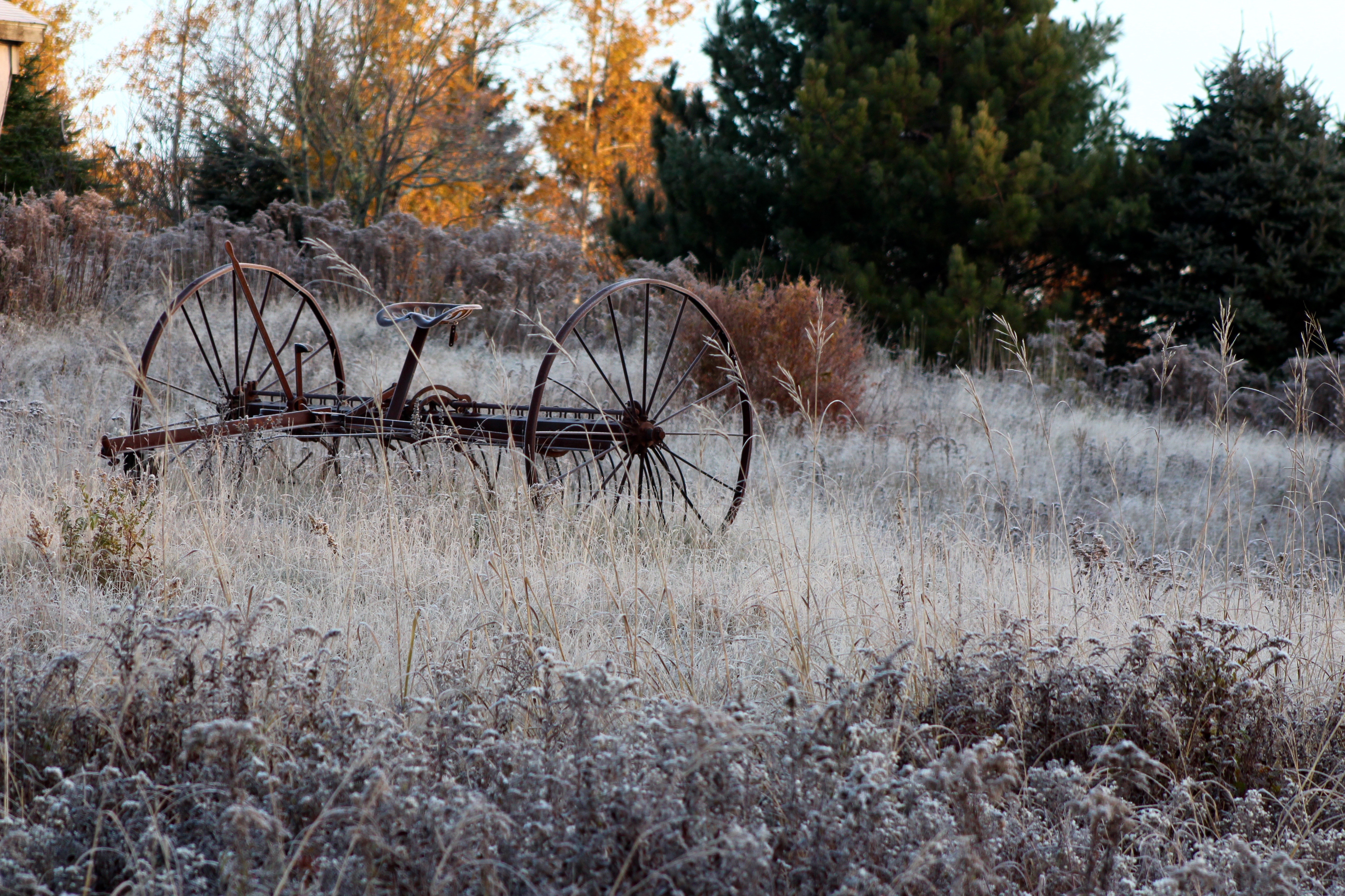 Frosty Morning Warnings