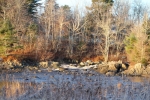 the falls on the pleasant river