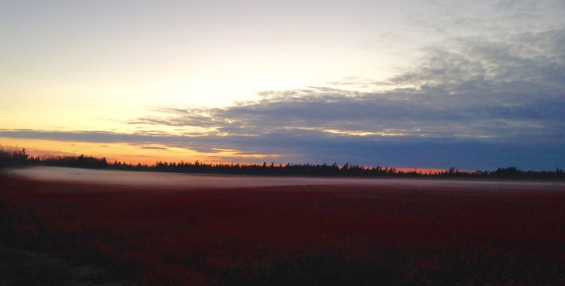 Misty Sunset Over the Barrens